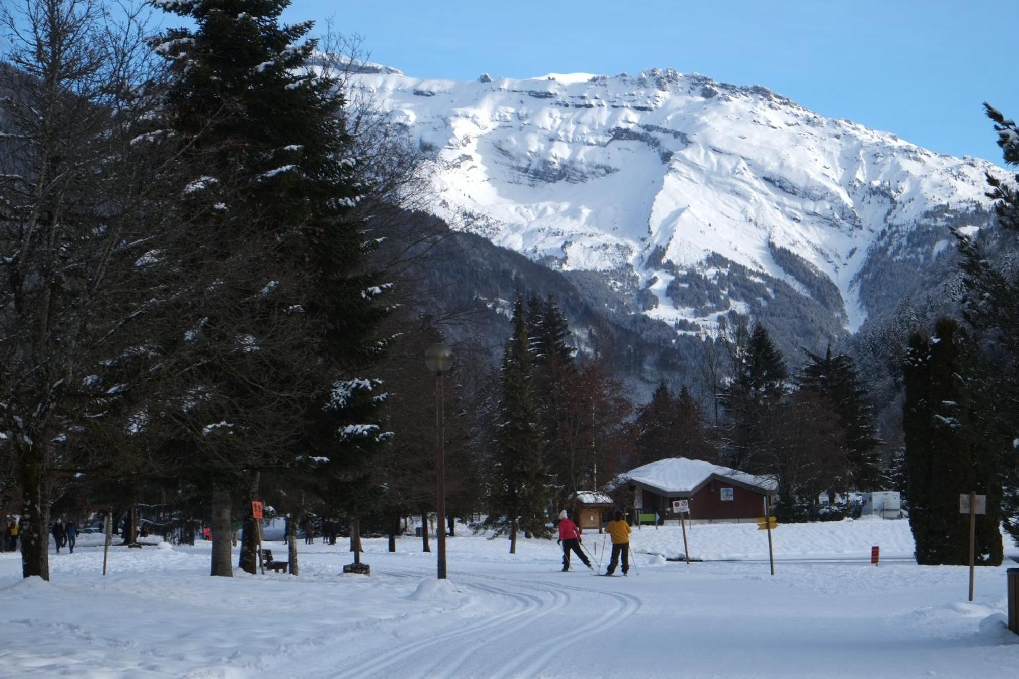 Particulier Loue 2 Appartements Communicants Dans Chalet A Samoens Jusqu A 16 Couchages Buitenkant foto
