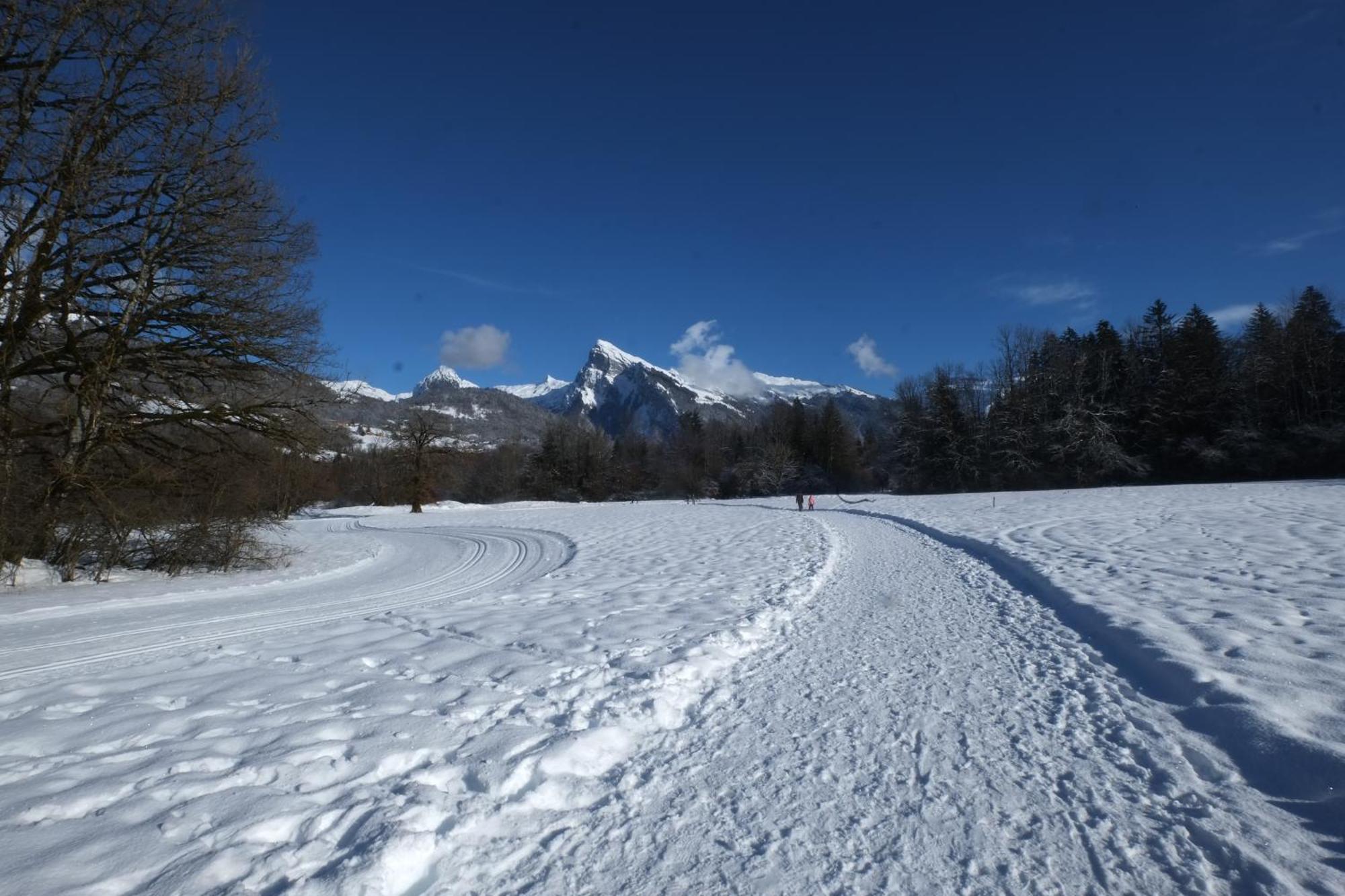 Particulier Loue 2 Appartements Communicants Dans Chalet A Samoens Jusqu A 16 Couchages Buitenkant foto